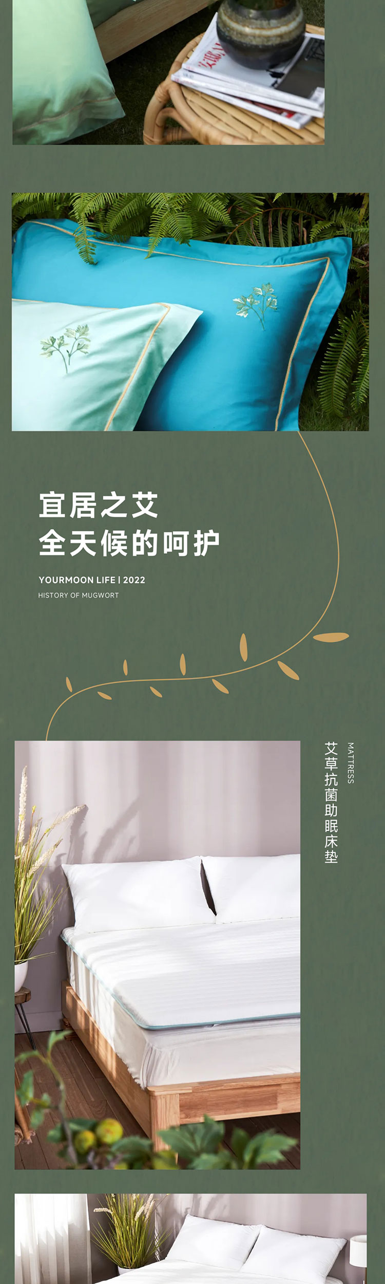 端午艾、艾草这么用有新发现