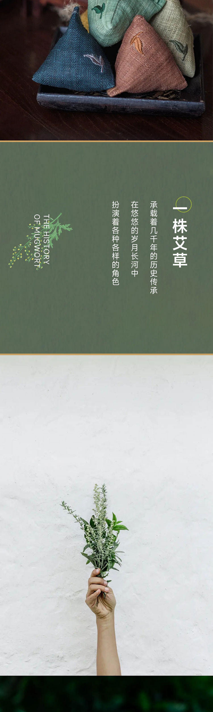 端午艾、艾草这么用有新发现