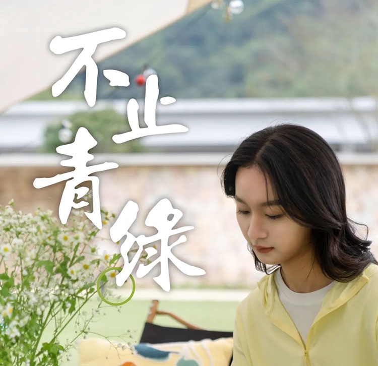不止青绿，邂逅生活新色调