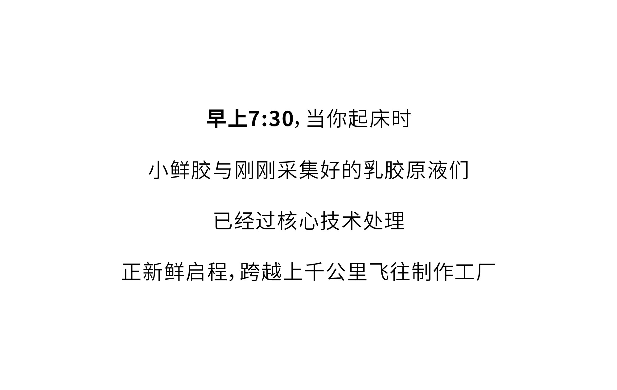欢迎和小鲜胶一起，每天睡好觉！