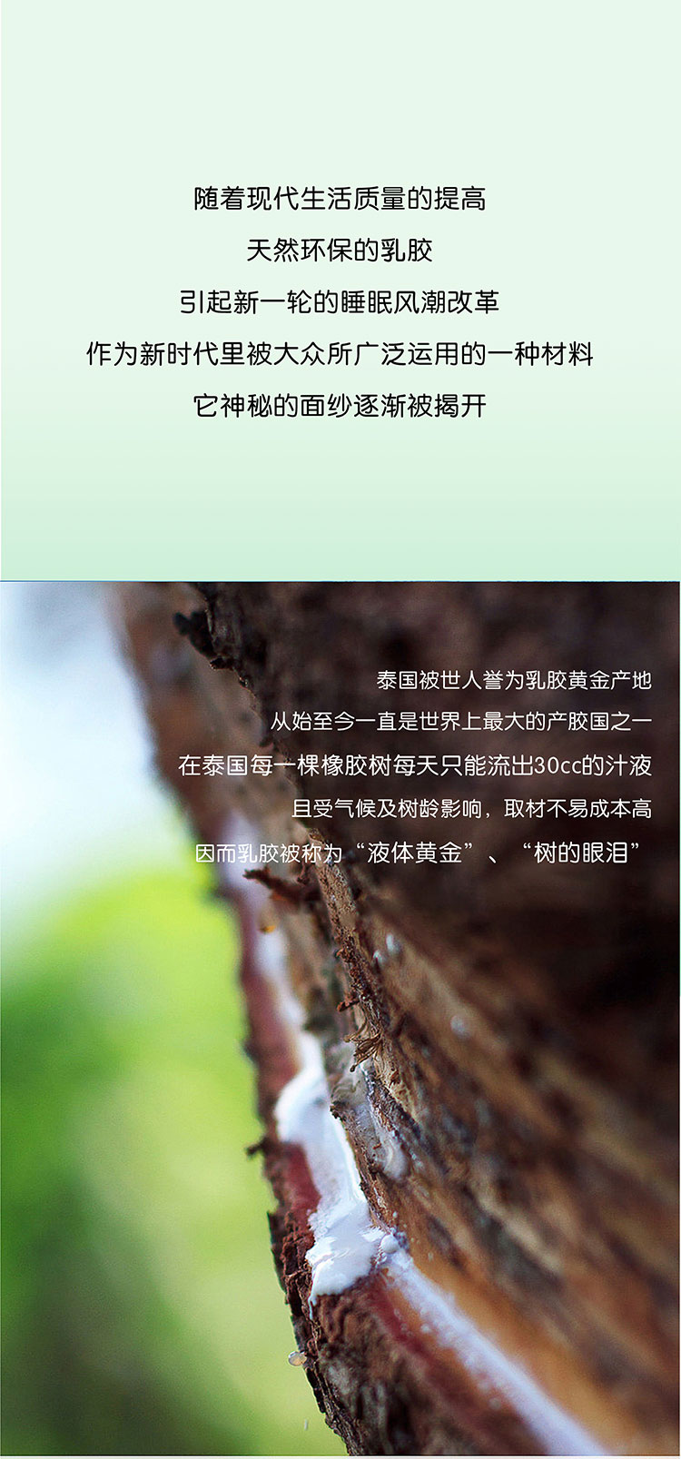 欢迎和小鲜胶一起，每天睡好觉！