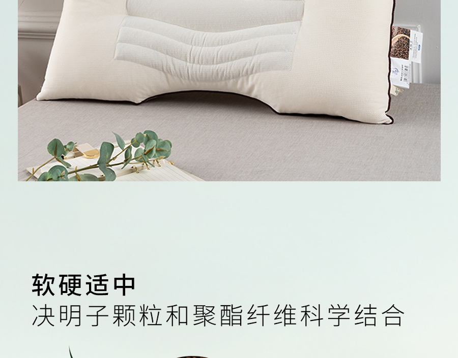 夏至养生关键！这样做少走冤枉路，建议收藏...