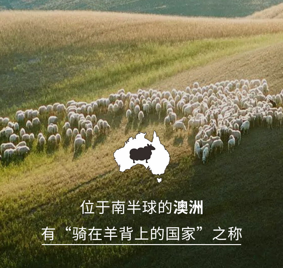 龙八long8人生就是博1995澳洲羊毛系列全新登场，温暖入秋冬